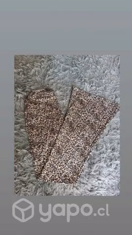 Calzas pantflare