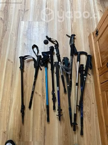 Bastones de Trekking