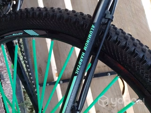 Mountalnbike