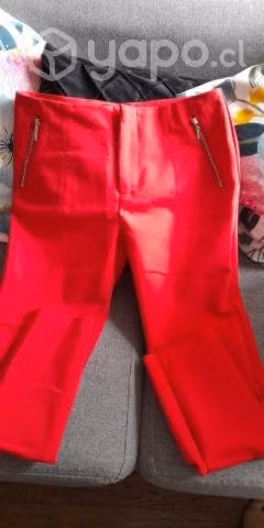 lote talla 40