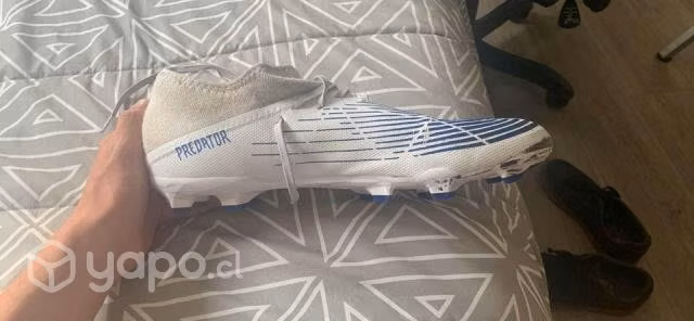 Zapatos de Futbol Adidas Predator