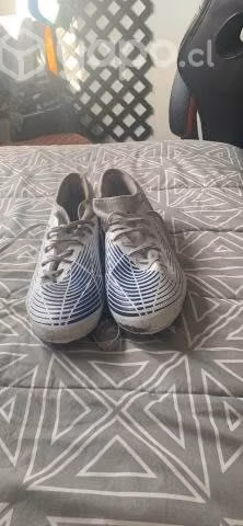 Zapatos de Futbol Adidas Predator