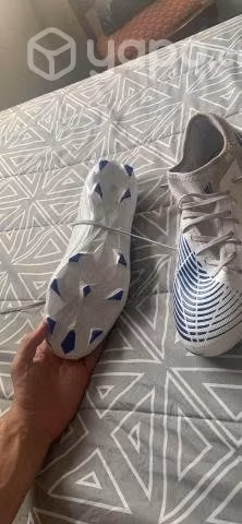 Zapatos de Futbol Adidas Predator