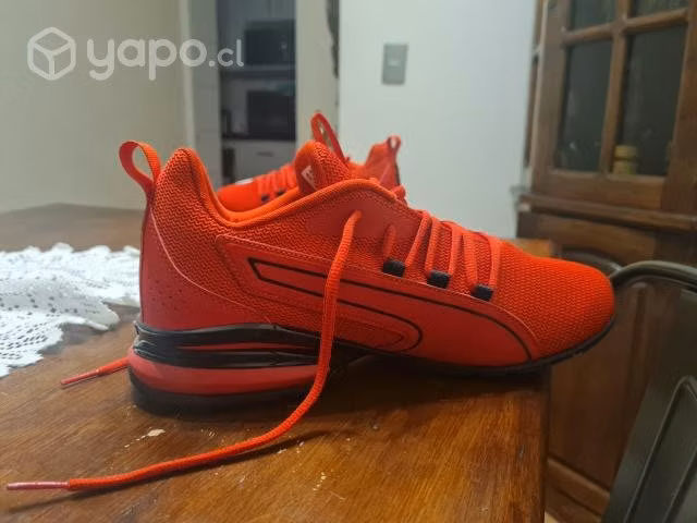 Pumas axelion nxt