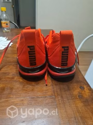 Pumas axelion nxt - Imagen 4