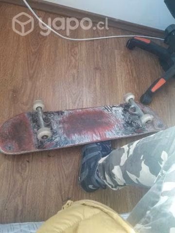 Skate usado