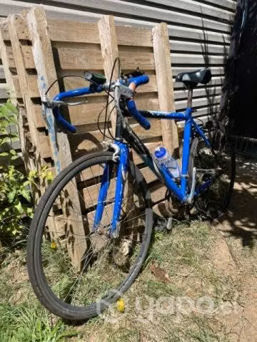 Bicicleta pistera