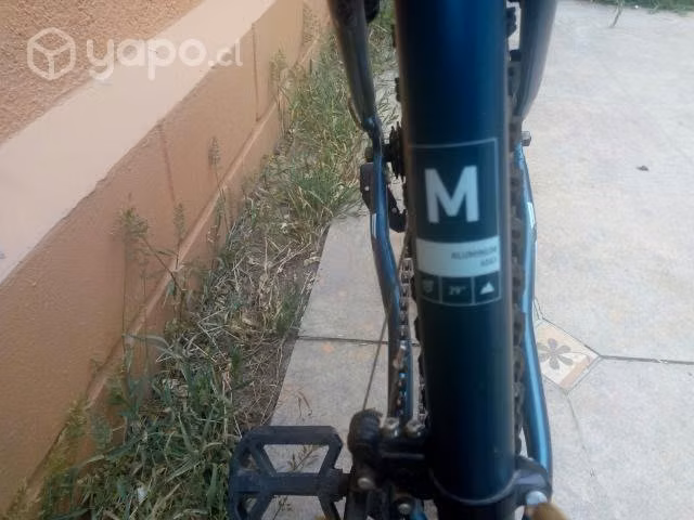 Bicicleta oxford