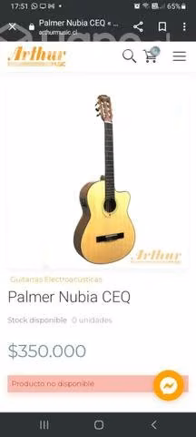 Guitarra electroacustica palmer nubia ceq