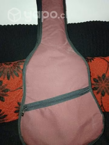 Guitarra electroacustica palmer nubia ceq
