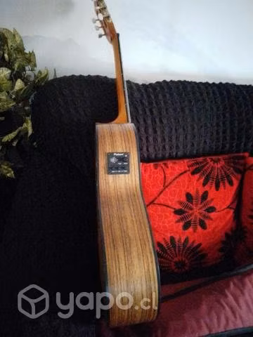 Guitarra electroacustica palmer nubia ceq