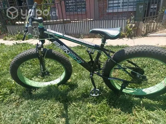 Bicicleta (montaña,nieve y arena )