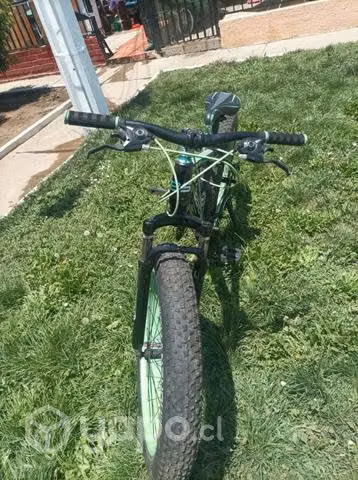 Bicicleta (montaña,nieve y arena )