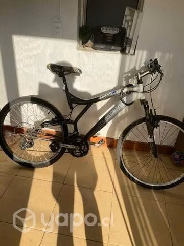 Bicicleta bianchi