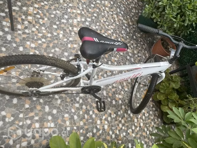 Bicicleta aro 24