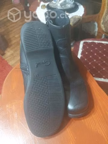 Botin Gacel