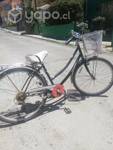 Bicicleta oxford