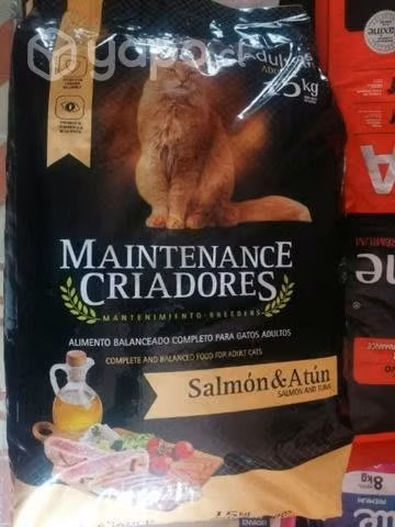 Mantención criadores gato 15kg