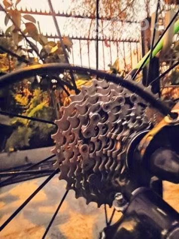 Bicicleta Totem Carbono
