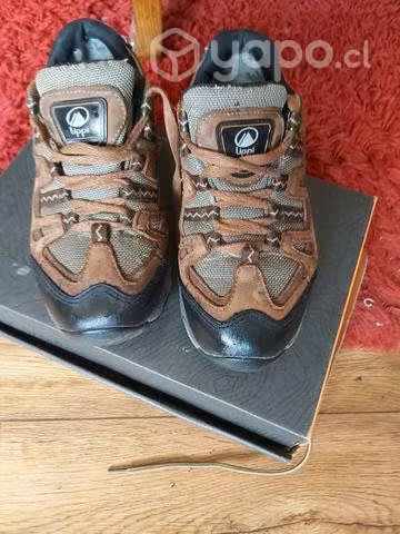 Zapato Lippi