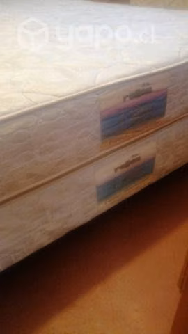 Cama