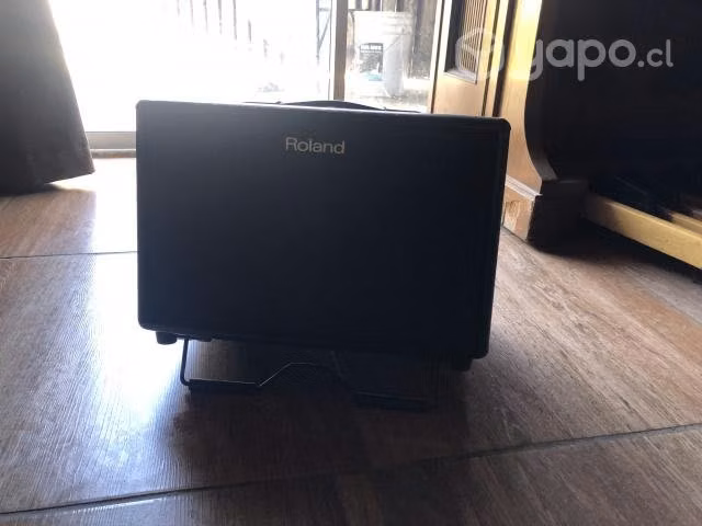 Roland AC 60