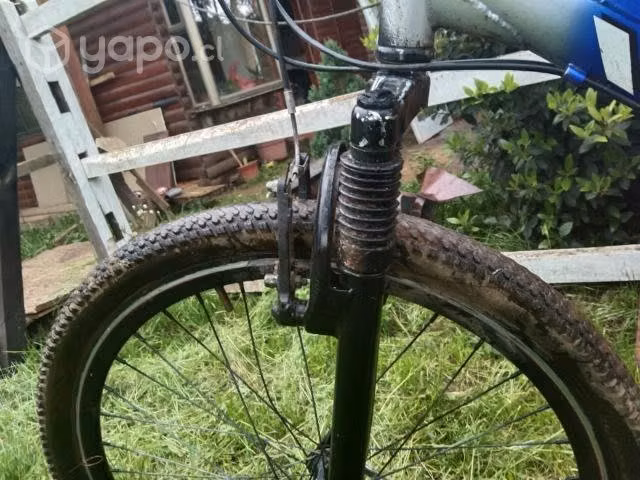 Bicicleta bianchi - Imagen 3