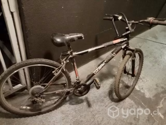 Bicicleta - Imagen 2