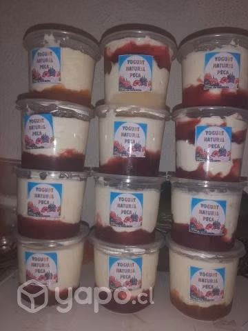 Yogurt al.mayor