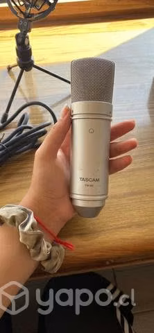 Tascam TM-80 Microfono De Condensador