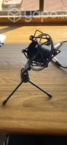 Tascam TM-80 Microfono De Condensador