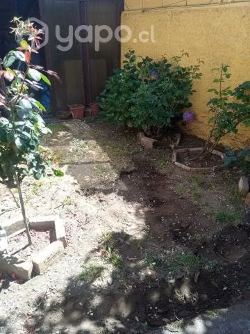 Pasto sintetico