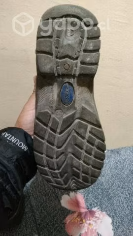 Zapatos
