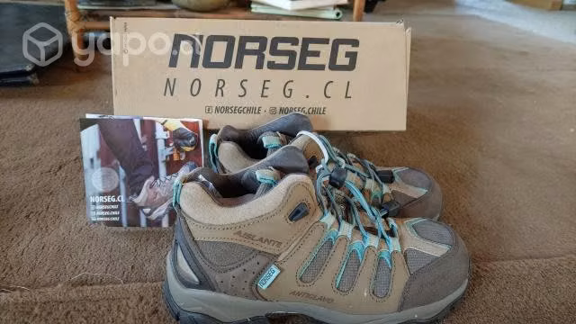 Bototos NORSEG