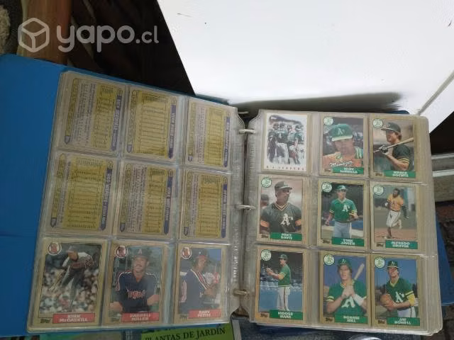 Álbumes de colección baseboll
