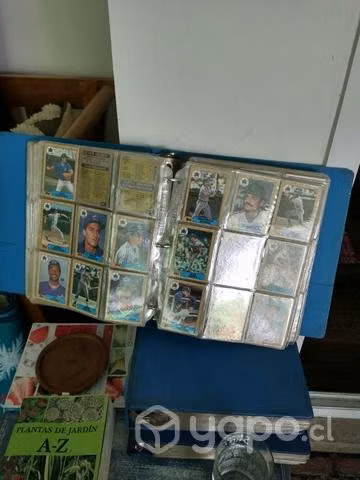 Álbumes de colección baseboll