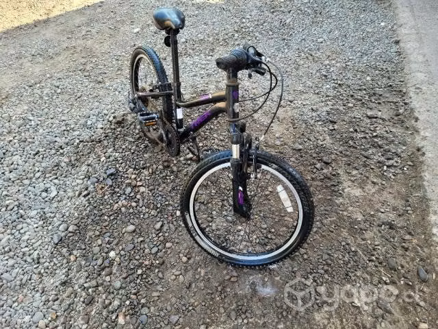 Bicicleta para niños trek
