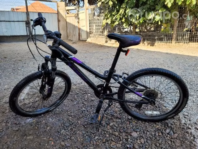 Bicicleta para niños trek