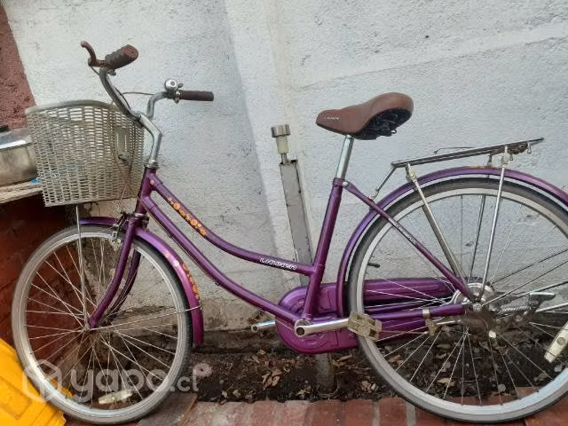 Bicicleta.de niña aro 26,Lahsen