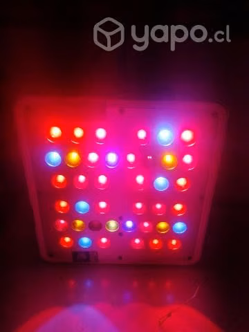 Foco led Apollo 4