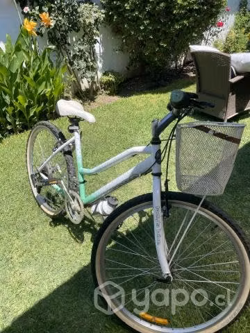 Bicicleta Oxford - Imagen 2