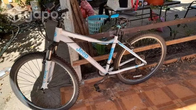 Bicicleta Jeep de dama