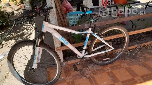Bicicleta Jeep de dama