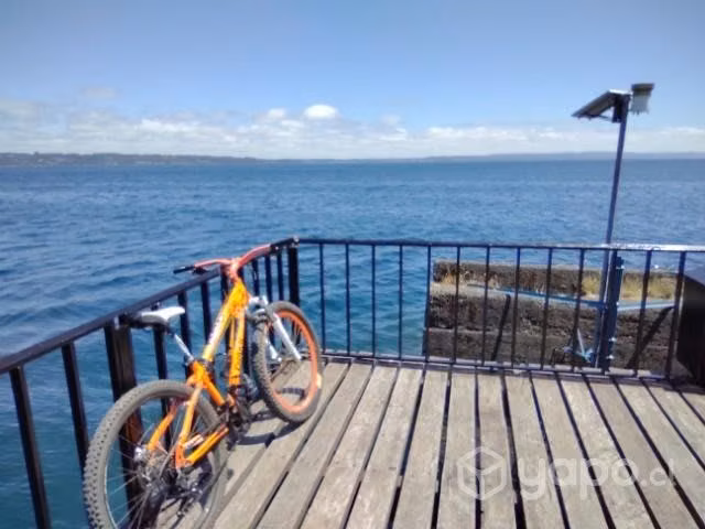 Bicicleta MTB/ DH crank