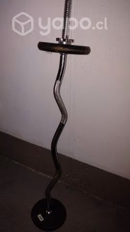 Pesa - Imagen 3