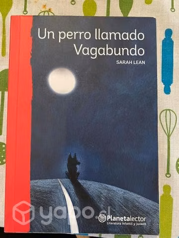 Libro Un perro llamado Vagabundo