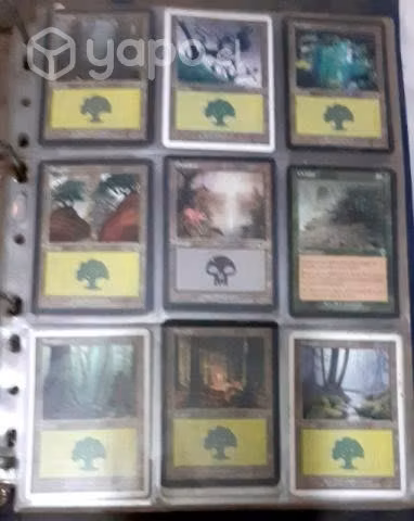 Coleccionistas cartas magic.