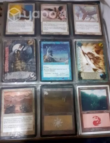 Coleccionistas cartas magic.