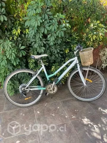 Bicicleta Oxford Aro 26 - Imagen 4