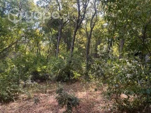 Parcela cerca Siete Tazas, con estero, 2 ha